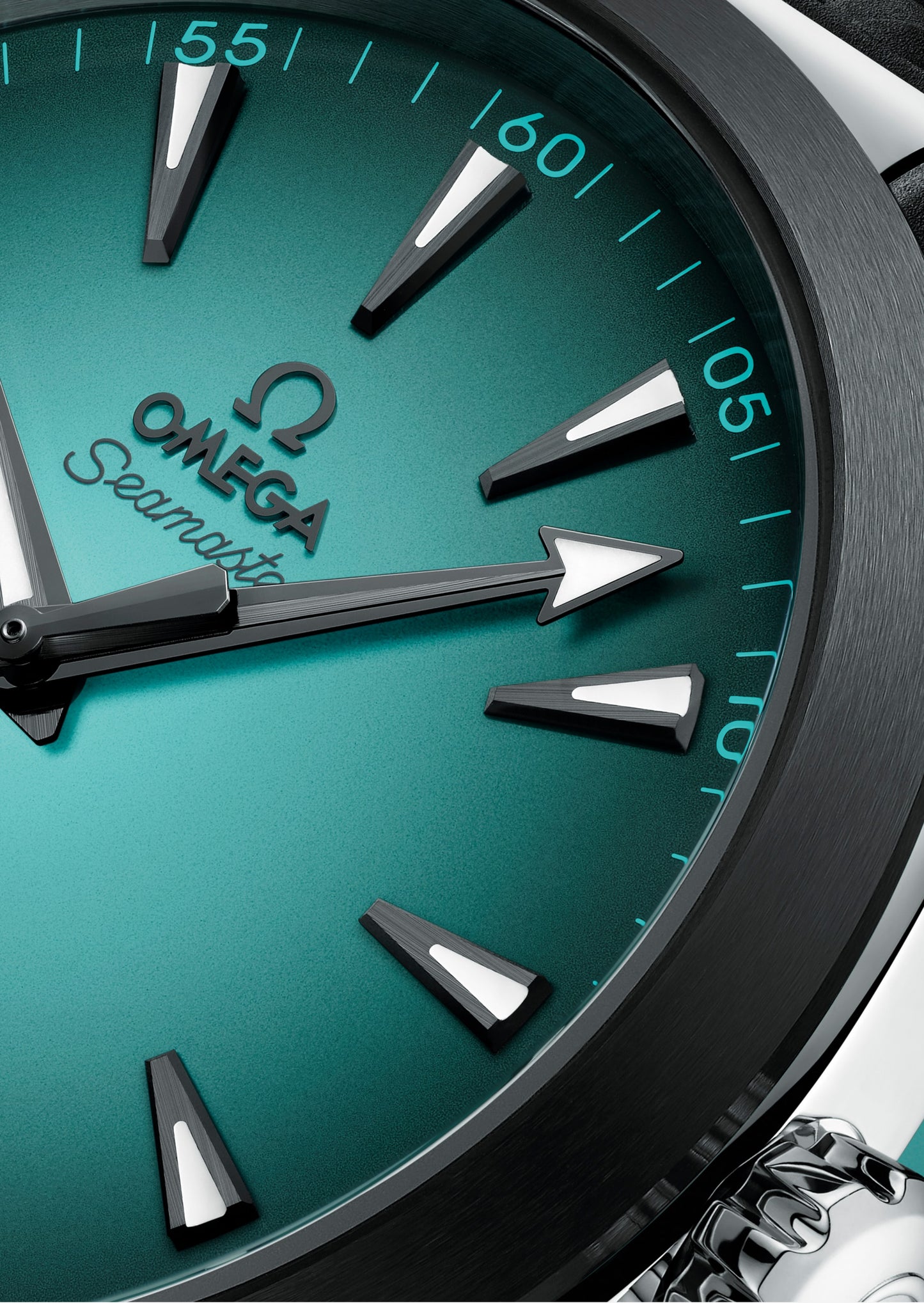 Seamaster Aqua Terra 150M 41 mm