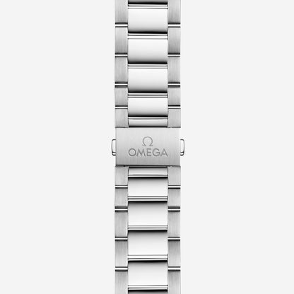 Seamaster Aqua Terra 150M 41 mm