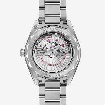 Seamaster Aqua Terra 150M 41 mm