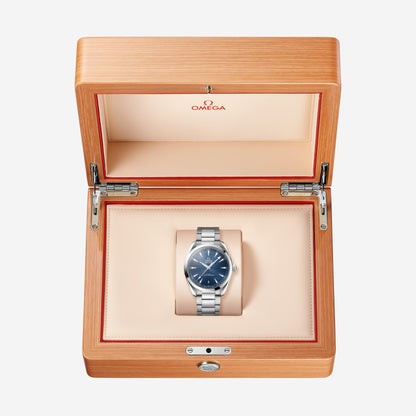 Seamaster Aqua Terra 150M 41 mm