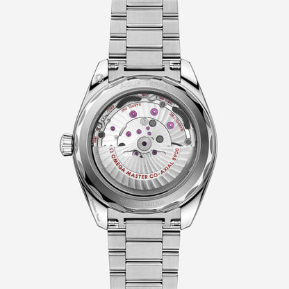 Seamaster Aqua Terra 150M 41 mm