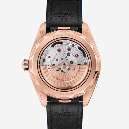 Seamaster Aqua Terra Worldtimer 150M Paris 43 mm